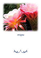 Arizona Flower Greeting Card