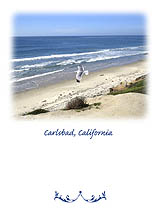 Carlsbad Coast Greeting Card