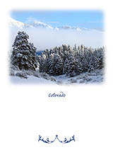 Colorado Snow