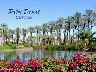 Catalog - Palm Springs / Palm Desert