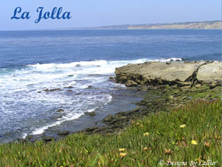 Catalog- San Diego North County