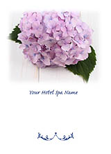 Hydrangea Series Greeting Card