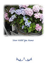Hydrangea Series Greeting Card