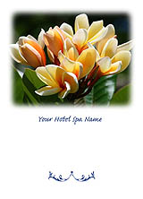 Plumeria Series Greeting Card