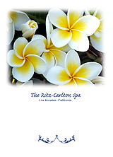 Plumeria Series Greeting Card