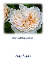 Rose Series Greeting Card
