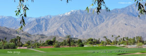 Palm Springs Mountain view