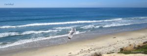 Carlsbad beach view
